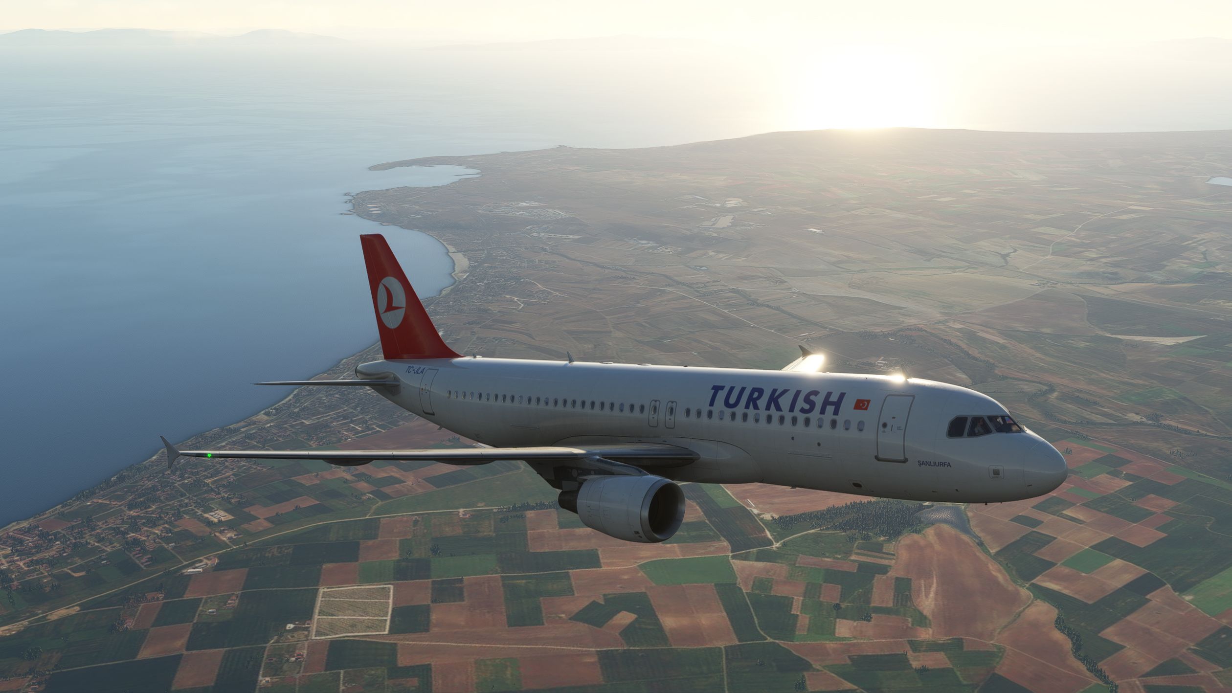 THY A320