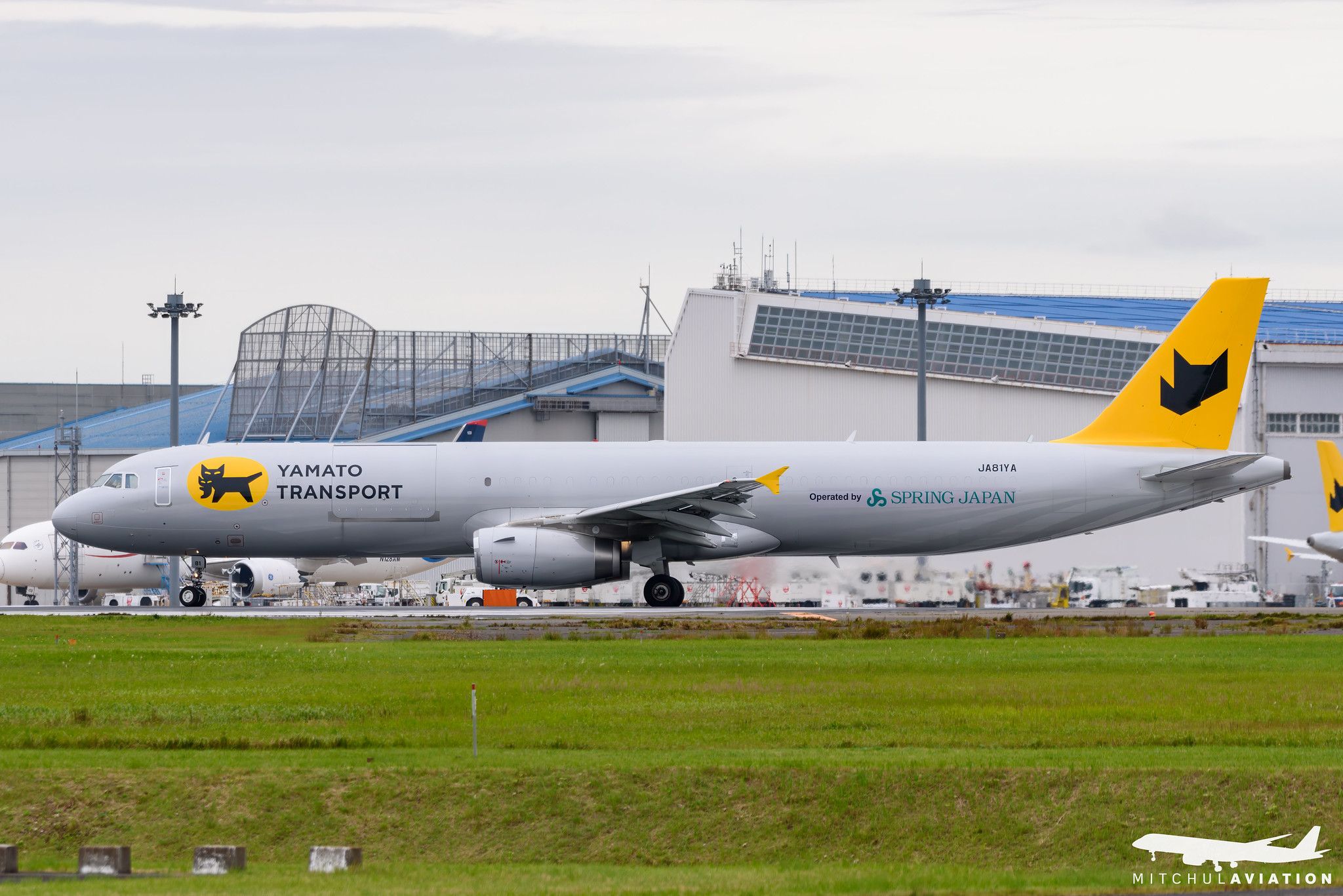 Airbus A321-231(P2F)
