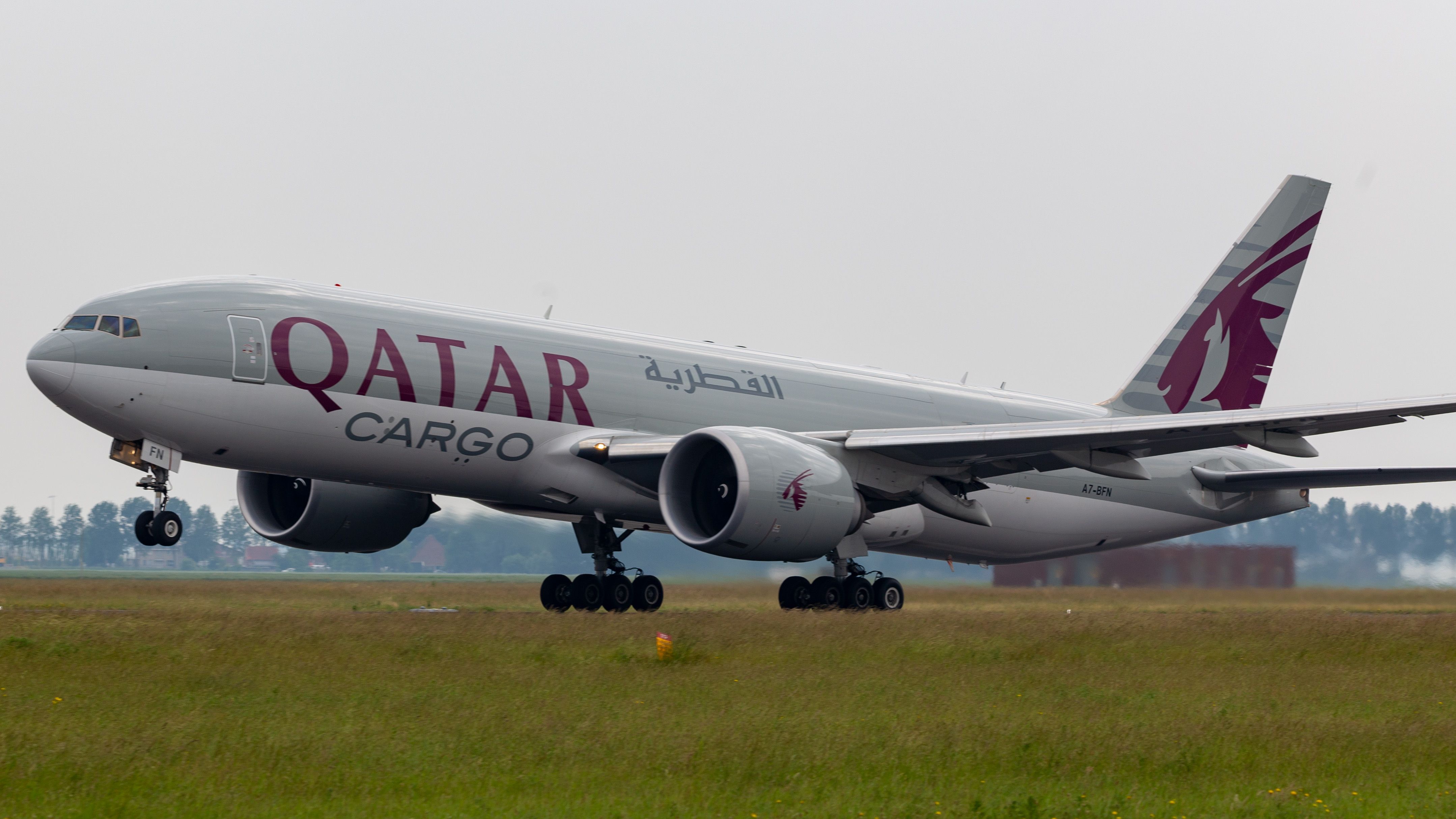 Qatar Airways Boeing 777-FDZ - oneworld virtual