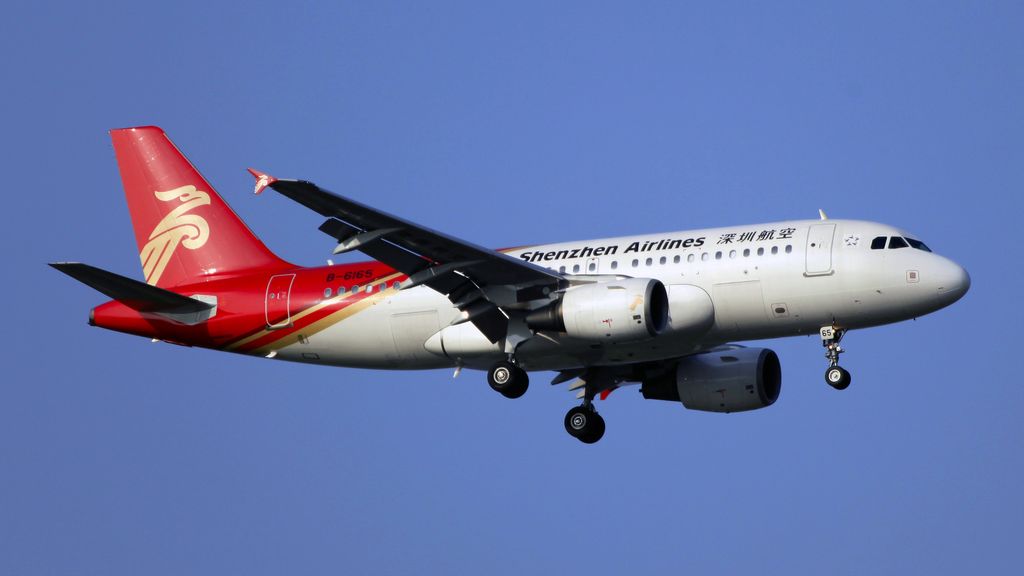 Airbus A319-133(WL)