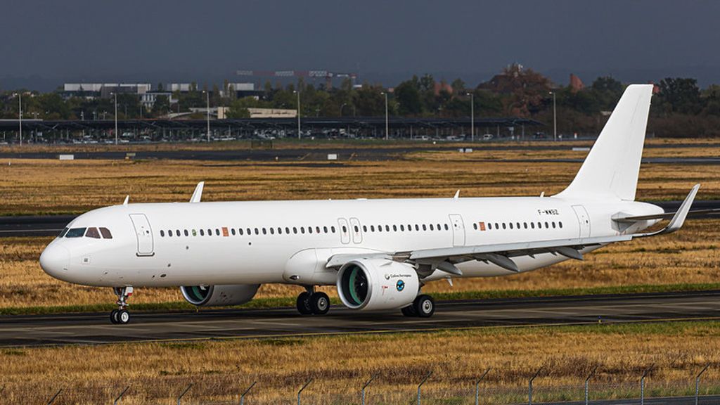 全日本空輸 Airbus A321 neo Airbus A321Neo - oneworld virtual