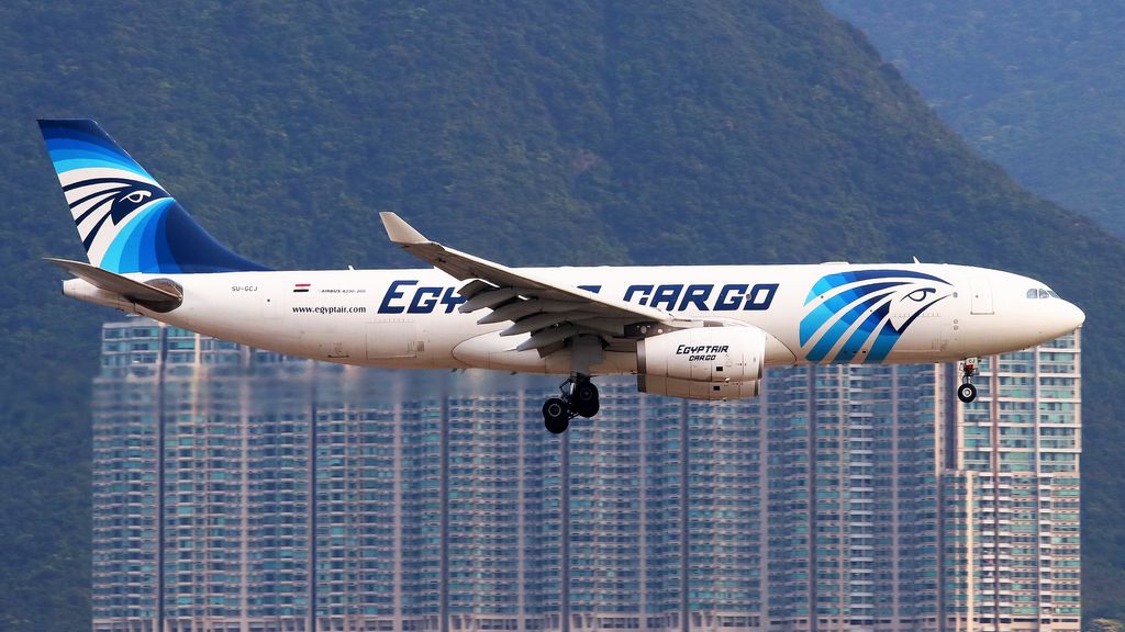 Airbus A330-243(P2F)