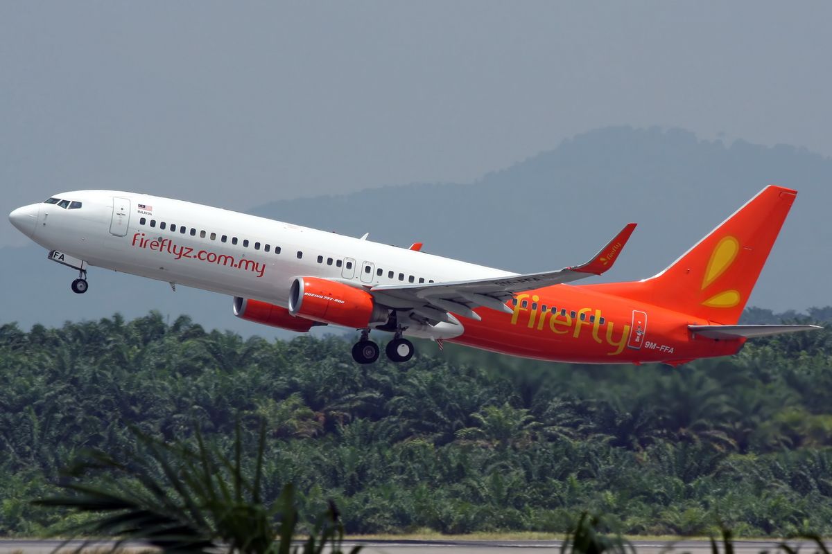 Firefly Boeing 737-8FZ(WL) - oneworld virtual